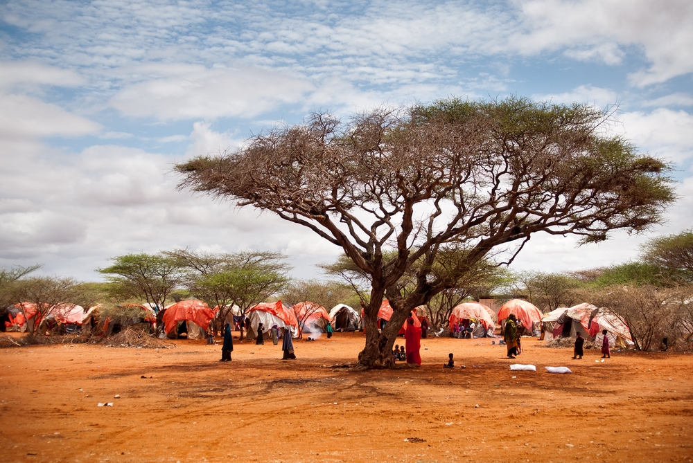 MSF planeja regressar à Somália em abril