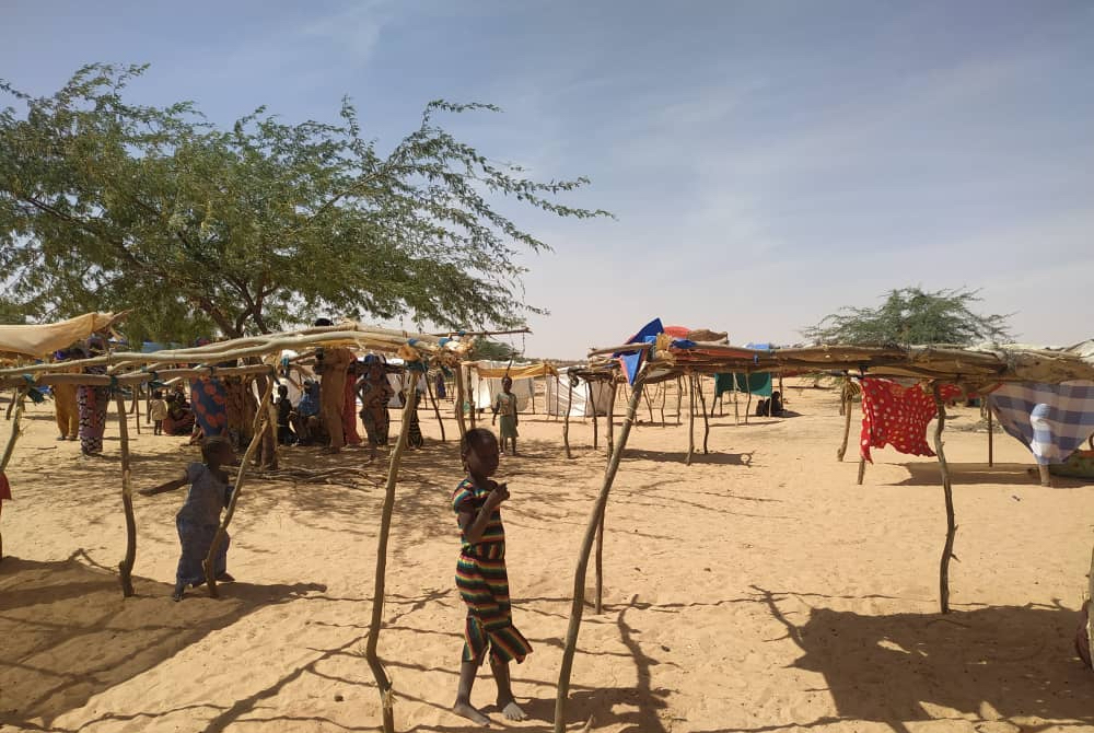 Refugiados que escaparam da violência no Níger permanecem vulneráveis no Mali